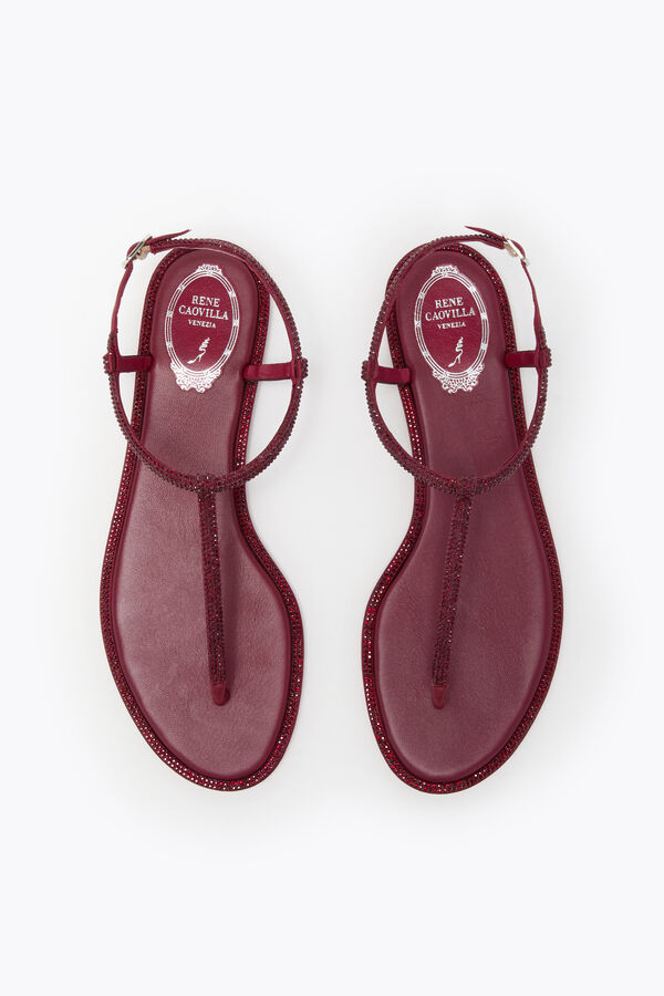 jeweled diana burgundy sandal with crystals 10 rene caovilla