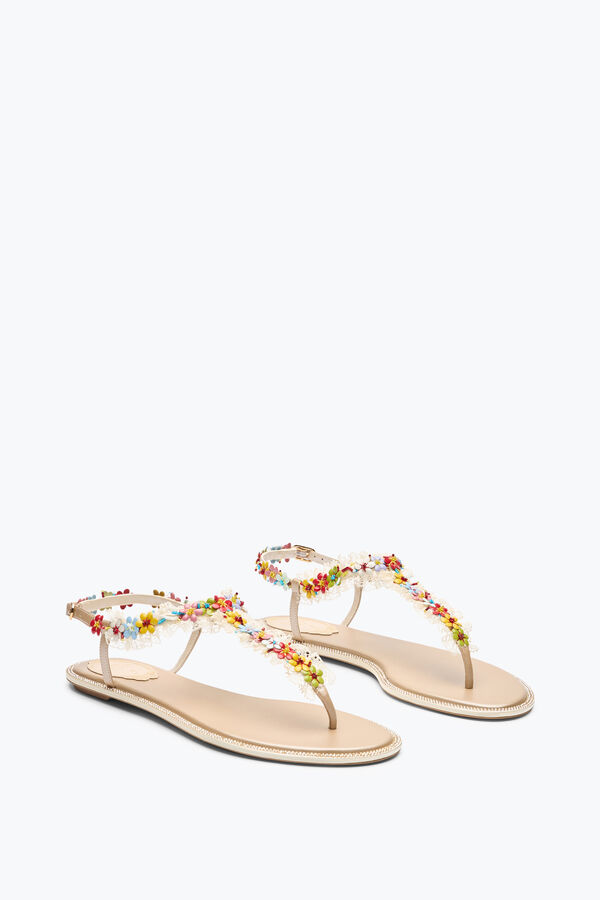 jeweled bloom nude flat sandal 10 rene caovilla