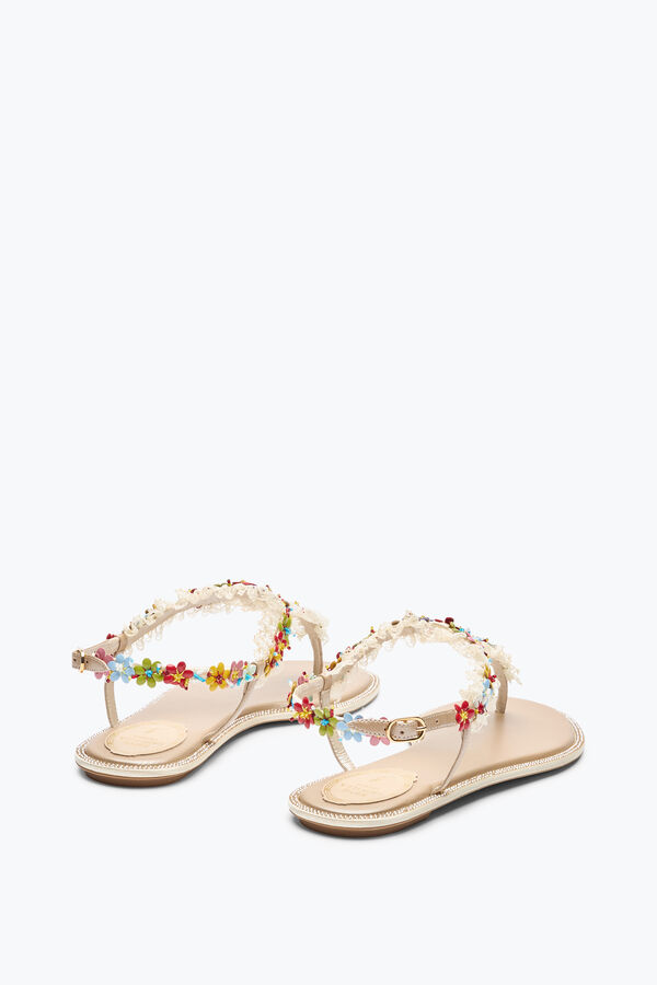 jeweled bloom nude flat sandal 10 rene caovilla