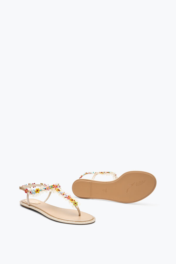 jeweled bloom nude flat sandal 10 rene caovilla
