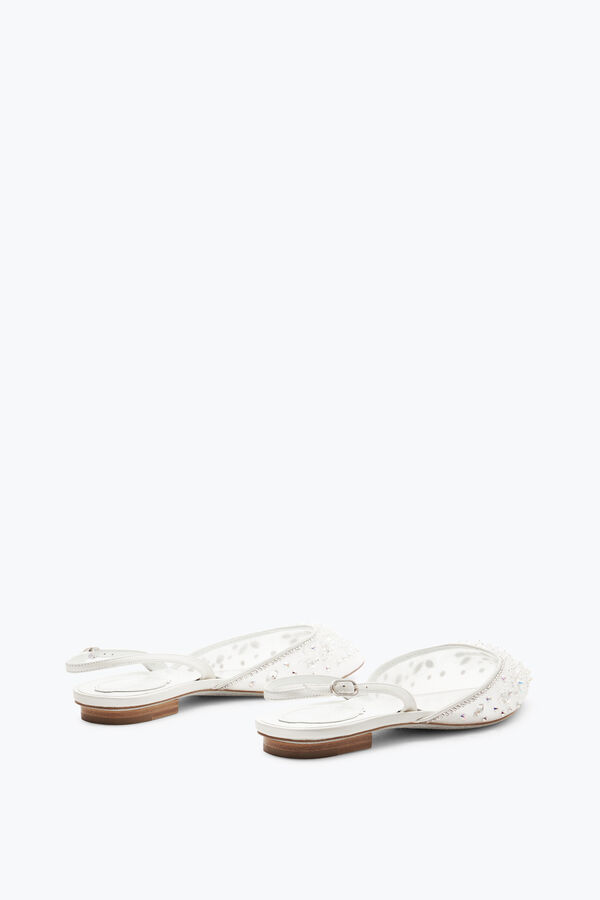 jeweled cinderella white slingback 10 rene caovilla