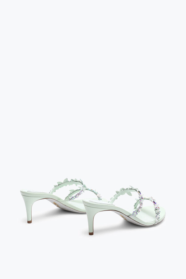 jeweled eden green mint mule 60 rene caovilla