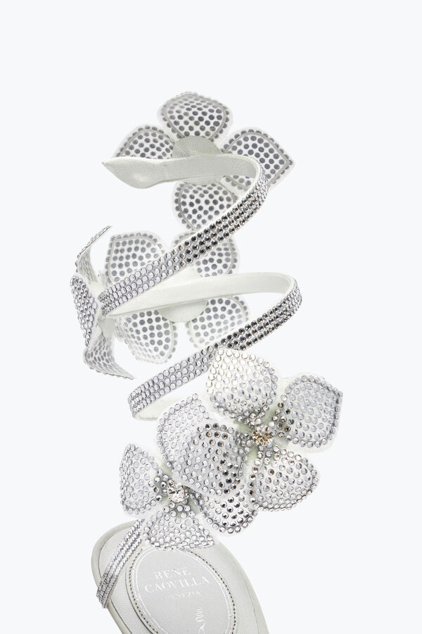 jeweled floriane white pump 105 rene caovilla