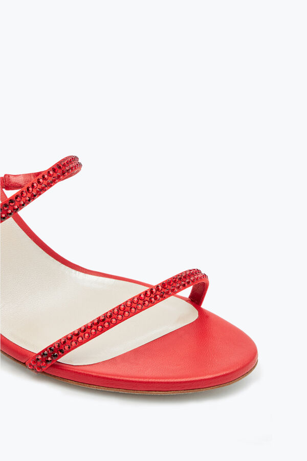 jeweled cleo red sandal 80 rene caovilla