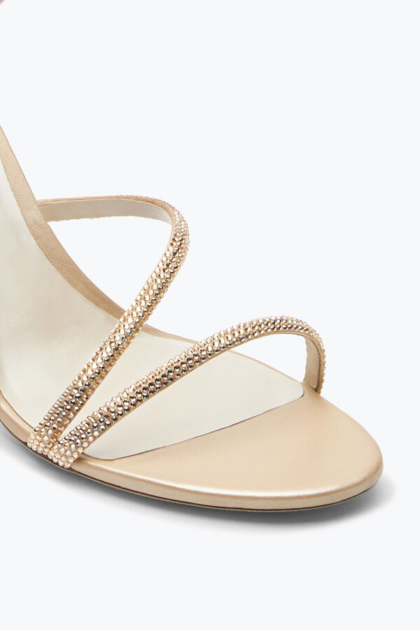 jeweled margot honey sandal 80 rene caovilla