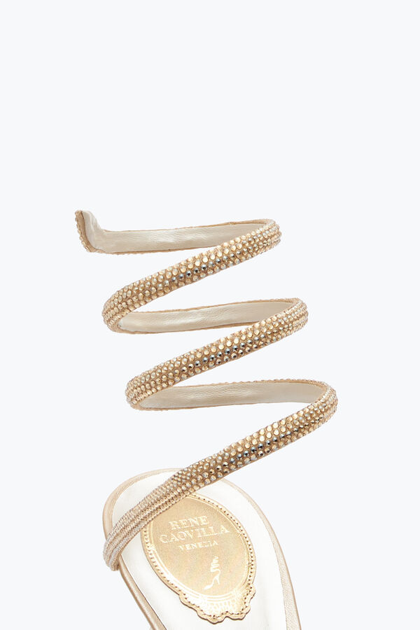 jeweled margot honey sandal 80 rene caovilla