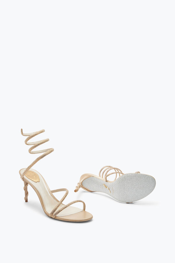 jeweled margot honey sandal 80 rene caovilla
