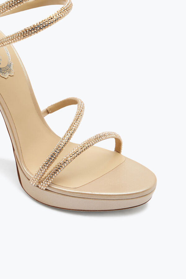 jeweled margot champagne platform sandal 120 rene caovilla