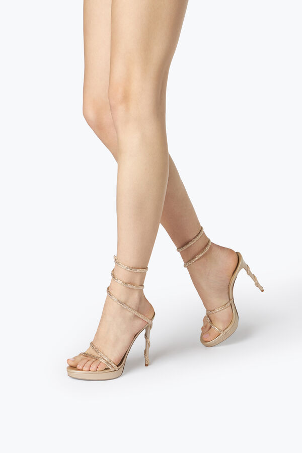 jeweled margot champagne platform sandal 120 rene caovilla