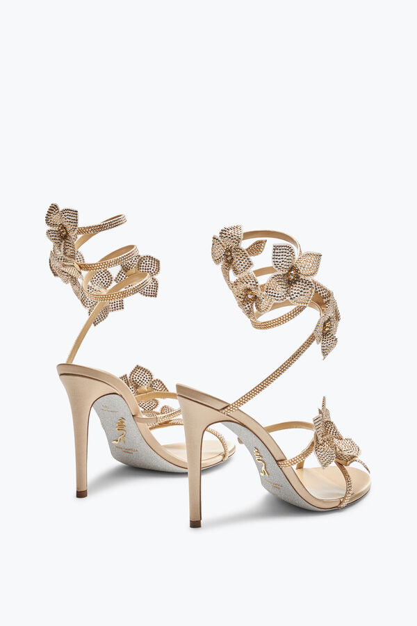 jeweled floriane honey sandal 105 rene caovilla