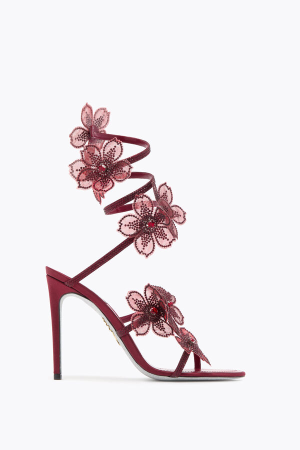 jeweled peach flower burgundy sandal 105 rene caovilla