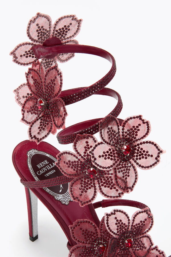 jeweled peach flower burgundy sandal 105 rene caovilla