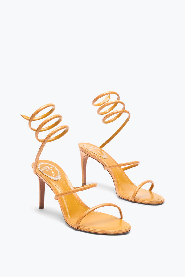 jeweled cleo amber ayers leather sandal 80 rene caovilla