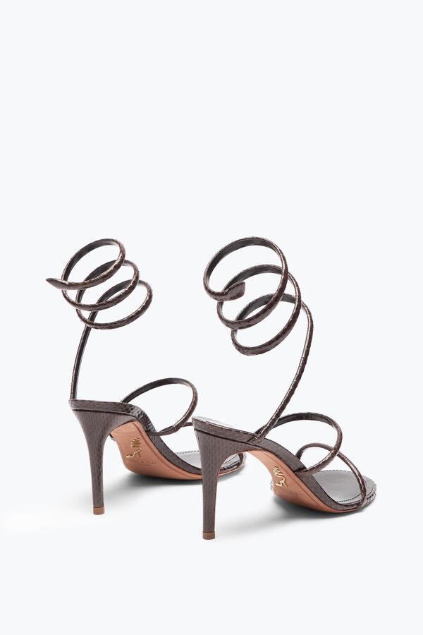 jeweled cleo brown ayers leather sandal 80 rene caovilla
