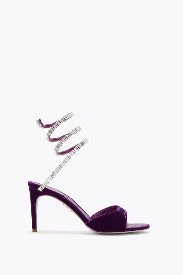 jeweled spark sandal in porpora velvet 80 rene caovilla