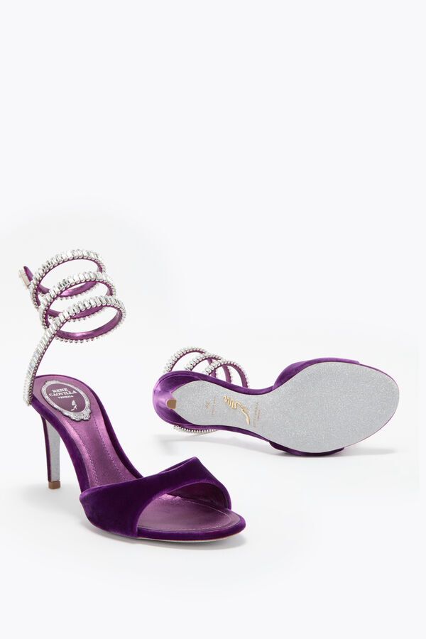 jeweled spark sandal in porpora velvet 80 rene caovilla