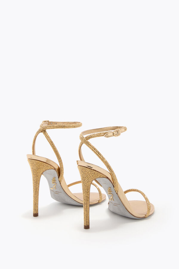 jeweled ellabrita champagne sandal 105 rene caovilla