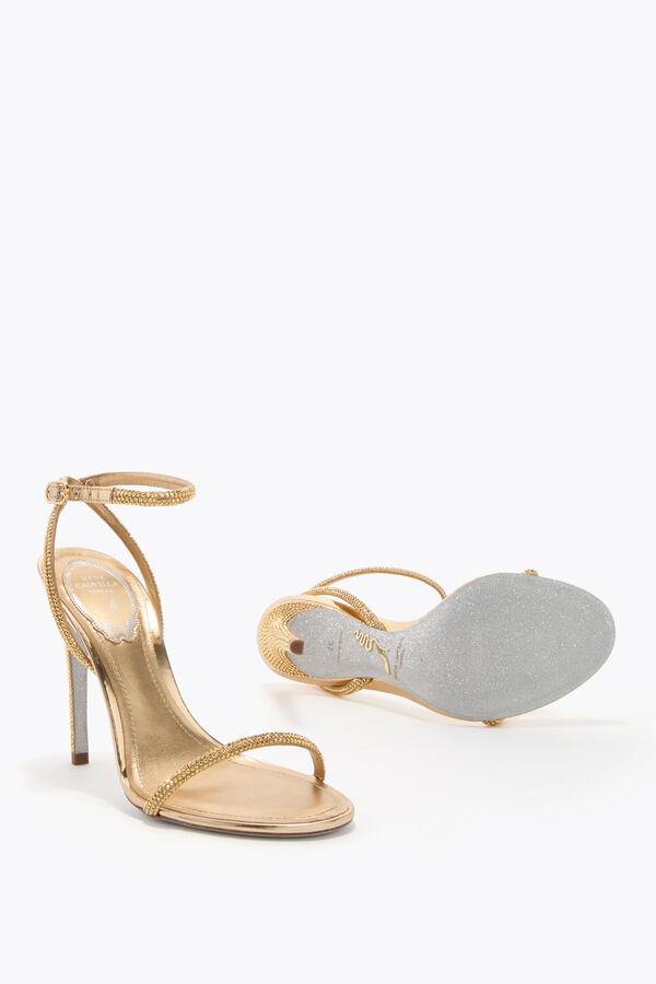 jeweled ellabrita champagne sandal 105 rene caovilla