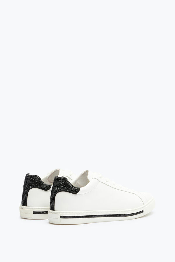 jeweled sporty sneakers xtra rene caovilla