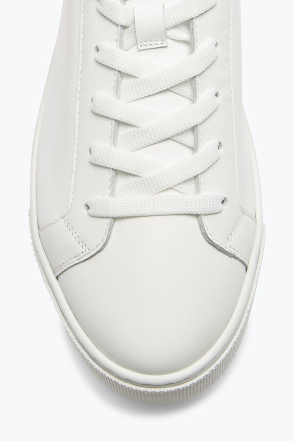 jeweled xtra white-black sneaker with crystals 15 rene caovilla
